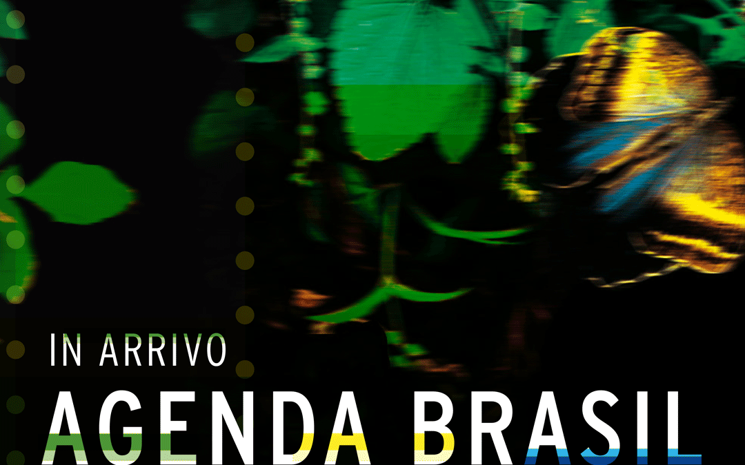 agenda brasil instagram