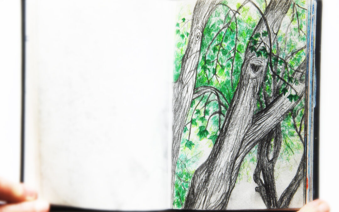 Colored pencils